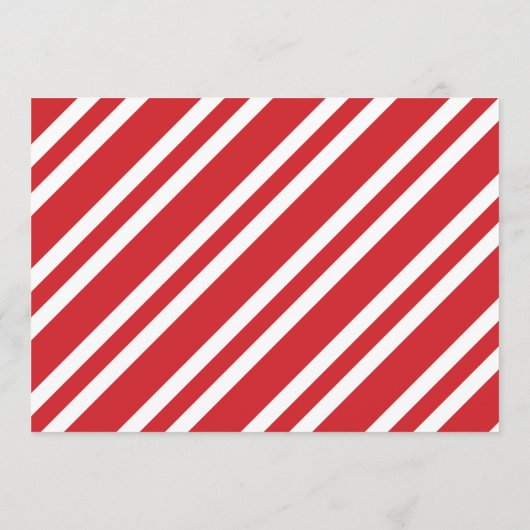 Kerstkoekje Oneerlijke Eerste Verjaardagsfeest Programma (Achterkant)