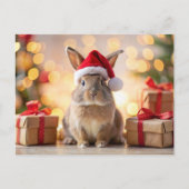 Kerstkonijn zittend met een kerstmuts feestdagenkaart (Voorkant)