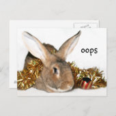 Kerstkonijnenboe Feestdagenkaart (Voorkant / Achterkant)