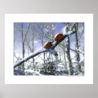Kerstladyvogels Poster