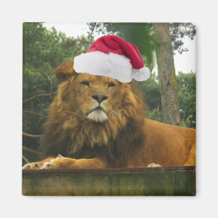 Kerstleeuw met Santa Hat Magneet