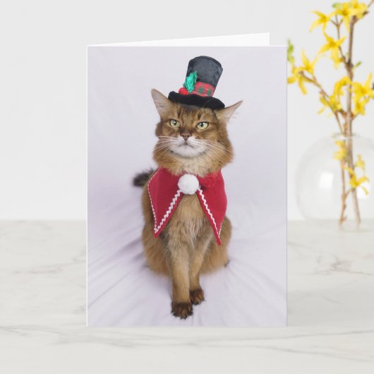 Kerstlied Somali Kat Kaart (Gele Bloem)