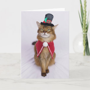 Kerstliedjes zingende Somalische kat Kaart