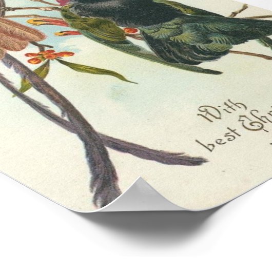 kerstluivogels poster (Hoek)