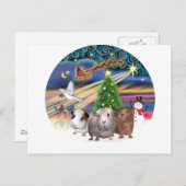 Kerstmagie - 3 cavia's feestdagenkaart (Voorkant / Achterkant)