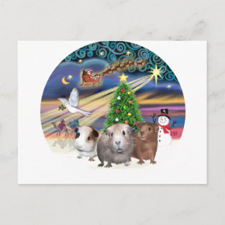 Kerstmagie - 3 Cavia's Feestdagenkaart