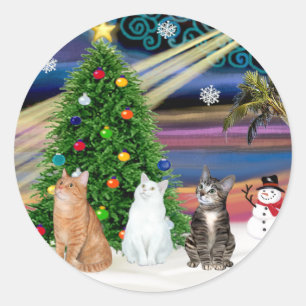 Kerstmagie - 3 katten (2 tabby's - wit) ronde sticker