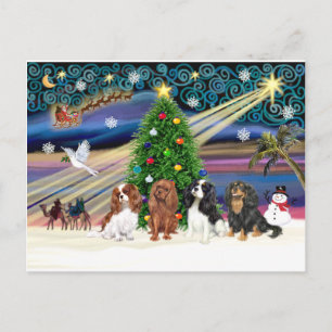 Kerstmagie / Cavalier King Charles (vier) Feestdagenkaart