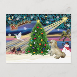 Kerstmagie Lhasa Apso 7 Feestdagenkaart