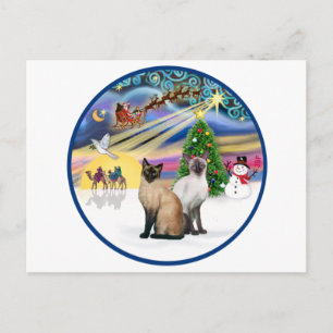 Kerstmagie (R) - Twee Siamese katten Feestdagenkaart