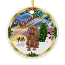 Kerstmagie - Robijn Cavalier