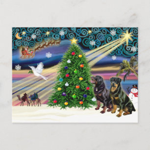 Kerstmagie Rottweilers (twee) Feestdagenkaart