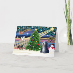 Kerstmagie Tibetaanse Terriër (zwart-wit) Feestdagen Kaart