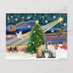 Kerstmagie - Twee Siamese katten (Seal + Choc) Feestdagenkaart