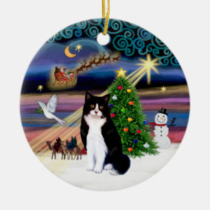 Kerstmagie - Zwart-witte kat (ASH) Keramisch Ornament