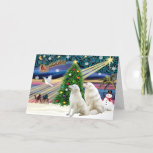 Kerstmagische Kuvasz (twee) Feestdagen Kaart