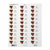 Kerstman Arthur Rackham Etiket (Full Sheet)