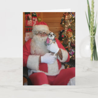 Kerstman & Chihuahua Feestdagen Kaart