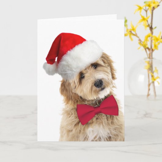 Kerstman Doodle Hond Kaart (Gele Bloem)