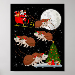 Kerstman egel slee vliegend grappig magisch Kerstm Poster