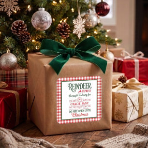 Kerstman expresbezorging geruit vierkante sticker