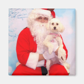 Kerstman houdt van honden magneet