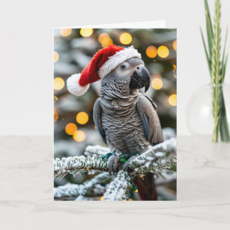 Kerstmannetje's Kleine Afrikaanse Grijze Helper  Kaart