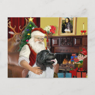 Kerstman's Newfie Landseer Feestdagenkaart