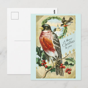 Kerstmis 1908 Robin op Hulsttak Briefkaart