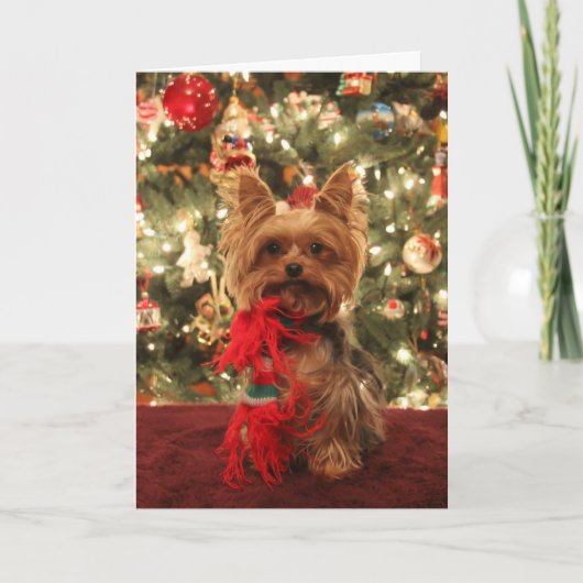 Kerstmis 2 van Yorkie Feestdagen Kaart (Voorkant)