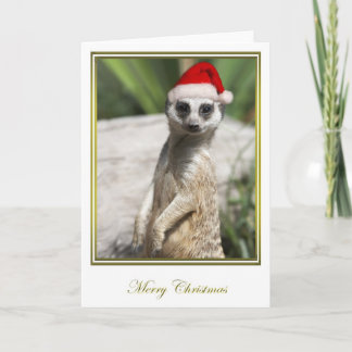 Kerstmis 4 van Meerkat Feestdagen Kaart