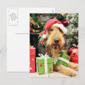 Kerstmis - Airedale - Kiehn Feestdagenkaart (Voorkant / Achterkant)