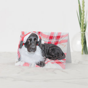 Kerstmis Bah Humbug Kaart