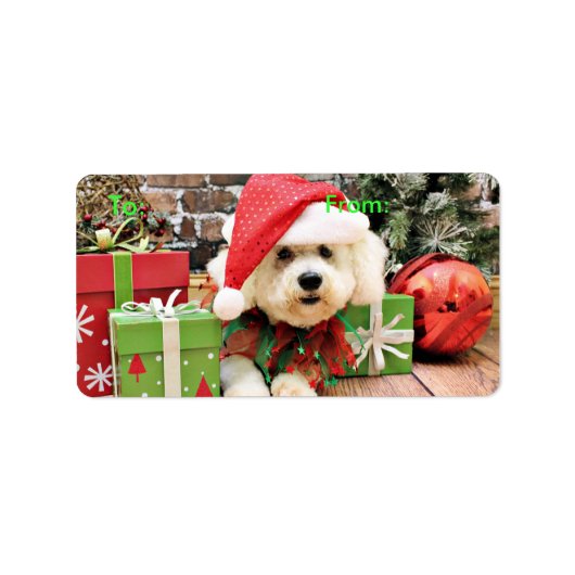 Kerstmis - Bichon Frise - Daisy Etiket (Voorkant)