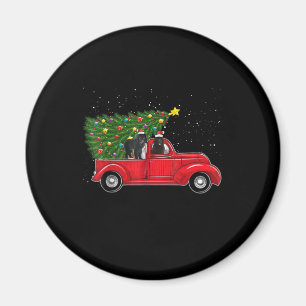 Kerstmis bij Newfoundland op Red Car Truck Magneet