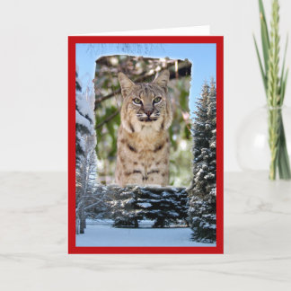 Kerstmis-bobcat-20 Feestdagen Kaart