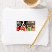 Kerstmis - Border Collie - Yaeger Etiket (Insitu)