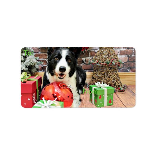 Kerstmis - Border Collie - Yaeger Etiket (Voorkant)