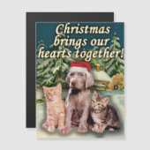 Kerstmis brengt ons hart samen met Puppy Kitten (Voorkant / Achterkant)