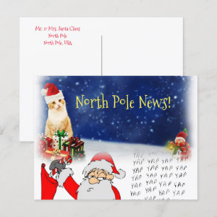 Kerstmis Briefkaarten Noordpool Santa Kitten Cats