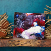 Kerstmis Britse blauwe kat Fotoplaat (Zijkant)