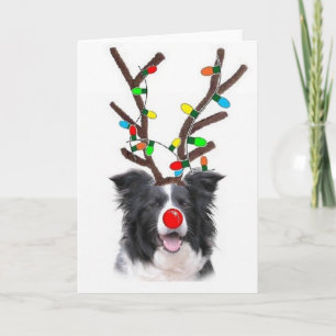 Kerstmis Card~Rudolph van border collie Feestdagen Kaart
