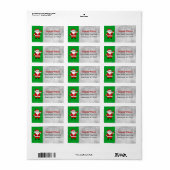Kerstmis Cartoon Santa Red en Green Etiket (Full Sheet)