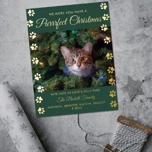 Kerstmis Cat Photo Real Folie Feestdagen Briefkaart