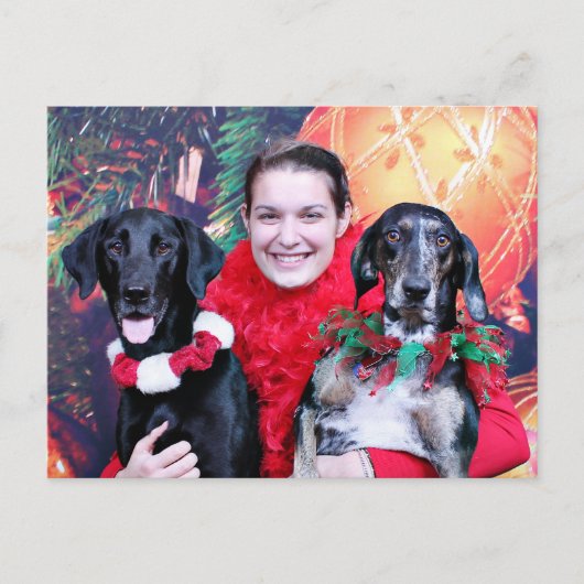 Kerstmis - Catahoula Brita en Labrador Cooper Feestdagenkaart (Voorkant)
