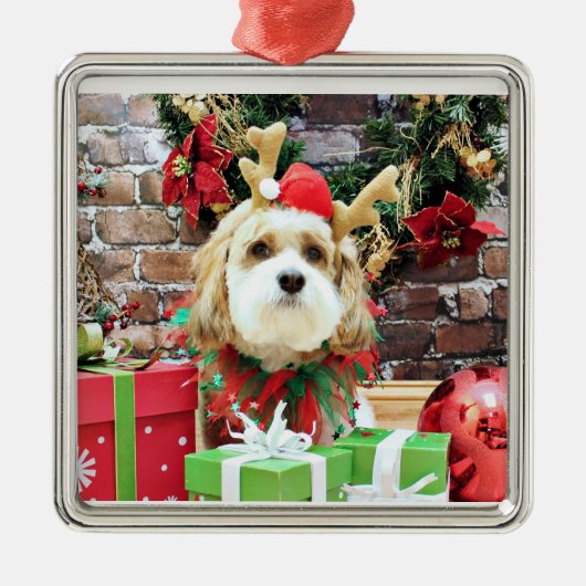 Kerstmis - Cavachon - Max Metalen Ornament (Voorkant)