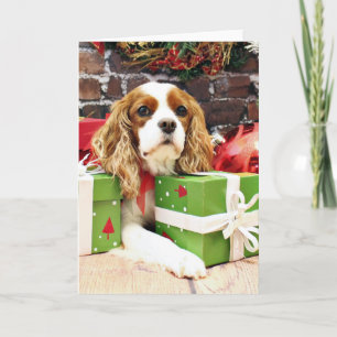 Kerstmis - Cavalier King Charles Spaniel - Klaproo Feestdagen Kaart