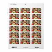 Kerstmis - Cavalier King Charles Spaniel Maverick Etiket (Full Sheet)