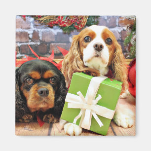Kerstmis - Cavalier - Sweet Pea en Poppy Magneet