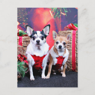 Kerstmis - Chihuahua - Moo en Ginger Feestdagenkaart